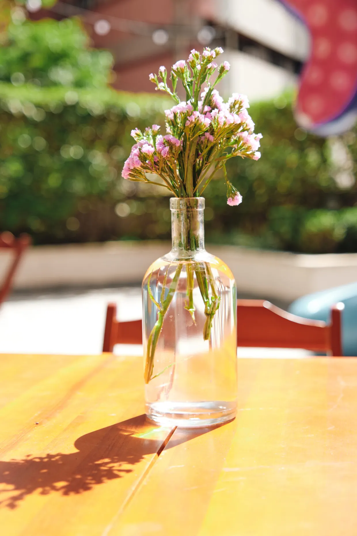 Pequeno vaso de flores sobre uma mesa amarela, iluminado pelo sol.