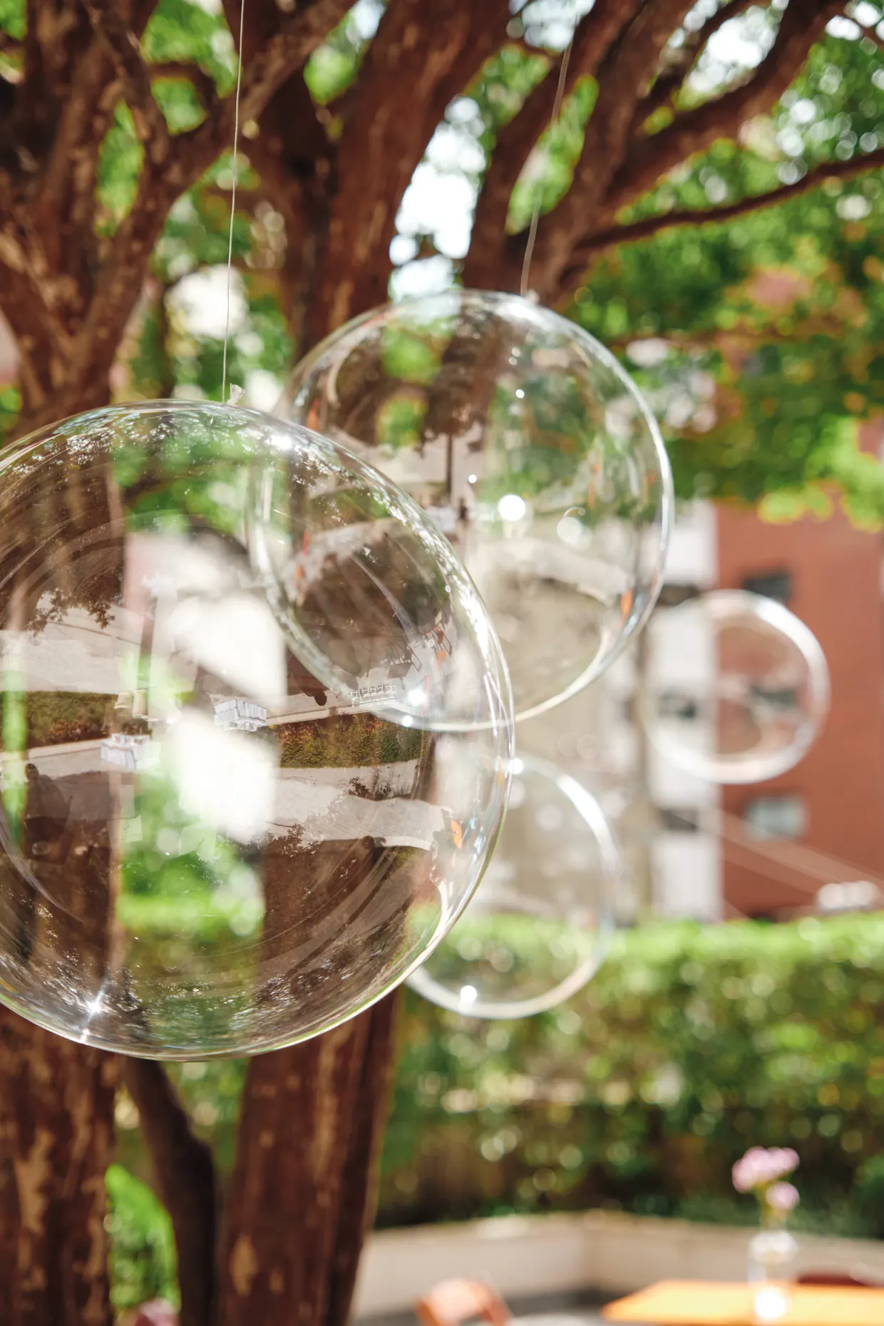 Bolhas de sabão flutuam diante de árvores em um jardim.